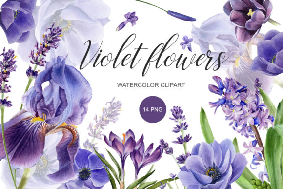 Download Watercolor Purple Flower Clipart. PNG - Color Collection